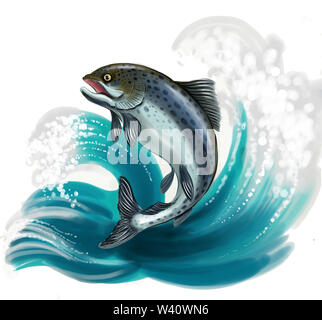 Jumping salmon fish Stock Photo