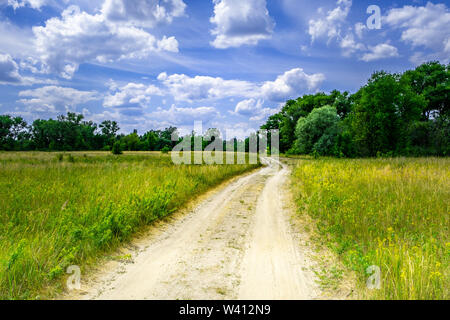 Dirt road winding through wild grass and trees in Belarus countryside Stock Photo