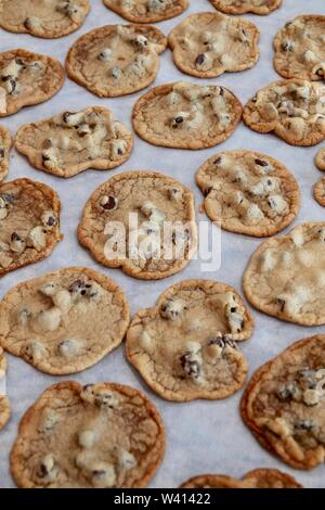 A batch of freshly cooked chocolate chip cookies. Stock Photo