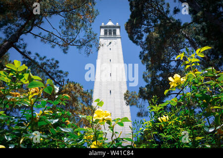 Looking up from the base of Sather tower (the Campanile) on a blue sky background, UC Berkeley, San Francisco bay, California Stock Photo