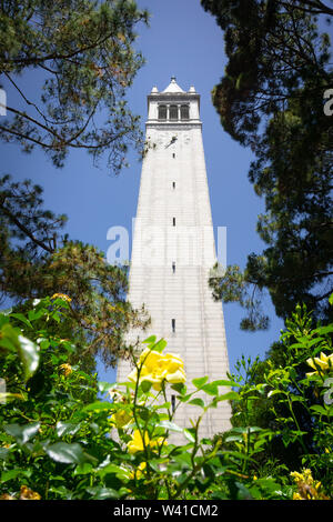 Looking up from the base of Sather tower (the Campanile) on a blue sky background, UC Berkeley, San Francisco bay, California Stock Photo