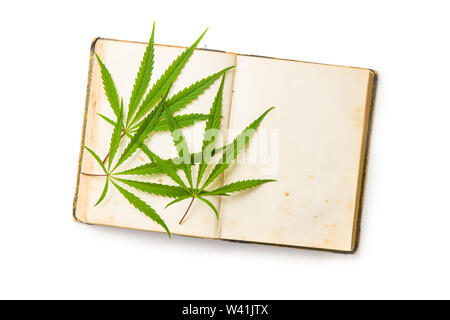 Marijuana cannabis leaves on old book isolated on white background. Stock Photo