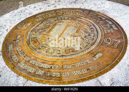 Grande árvore De Carvalho Verde Americano Na Frente Da Casa Do Clube Do  Estudante No Terreno Da Faculdade Imagem de Stock - Imagem de berkeley,  américa: 105746151