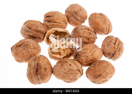 Walnuts in shell isolated on white background Stock Photo