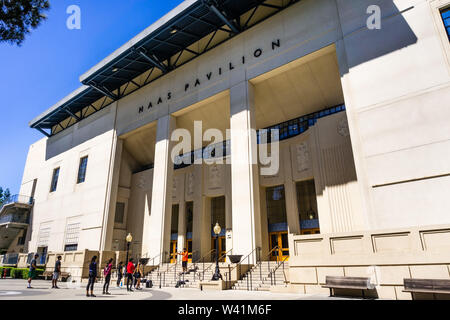 Grande árvore De Carvalho Verde Americano Na Frente Da Casa Do Clube Do  Estudante No Terreno Da Faculdade Imagem de Stock - Imagem de berkeley,  américa: 105746151