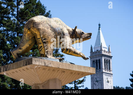 Grande árvore De Carvalho Verde Americano Na Frente Da Casa Do Clube Do  Estudante No Terreno Da Faculdade Imagem de Stock - Imagem de berkeley,  américa: 105746151