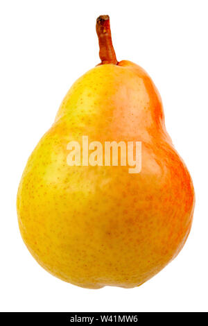 Pear one organic natural pear isolated on white isolated cut out image Stock Photo