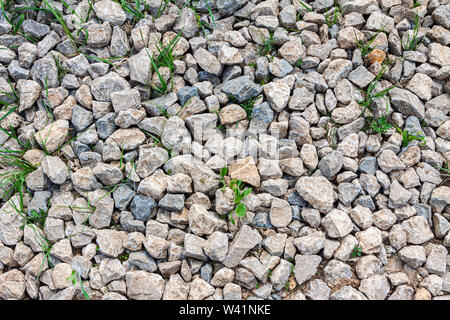 The background grows through the rubble grass. Stock Photo