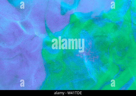 Mixed purple-green flat plasticine texture with distinct fingerprints. Small dust particles on surface. Stock Photo