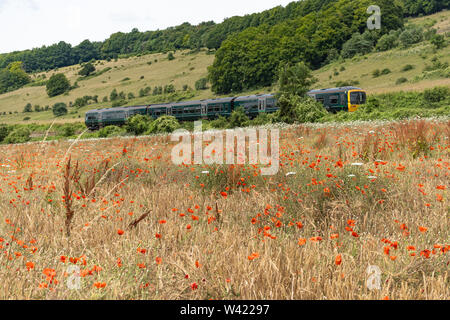 GWR train passing through summer landscape in the North Downs Surrey Hills AONB with a poppy field, and steep chalk escarpment, Surrey, UK Stock Photo