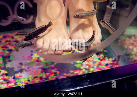 Fish spa pedicure wellness skin care treatment - Spa, people and body care concept Stock Photo
