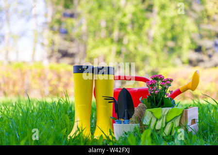 concept photo tools for working in the garden, objects for spring works close up Stock Photo