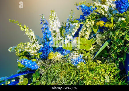 Beautiful floral composition from white and blue delphiniums, hydrangeas, anthuriums and variegated leaves of decorative plants Gorgeous bouquet from Stock Photo