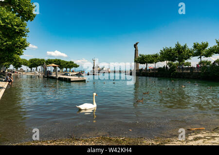 Konstanz, BW / Germany - 14. July 2019: view of the harbor and Seepark in Konstanz with ducks and swan in the foreground Stock Photo