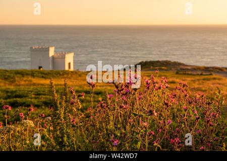 Dusk at Ellin's Tower at South Stack on the Island of Anglesey, Wales UK Stock Photo