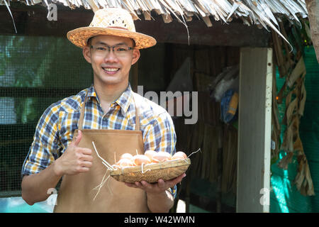 young smart farmer wear plaid long sleeve shirt brown apron are holding fresh chicken eggs into basket at a chicken farm in him home area Stock Photo
