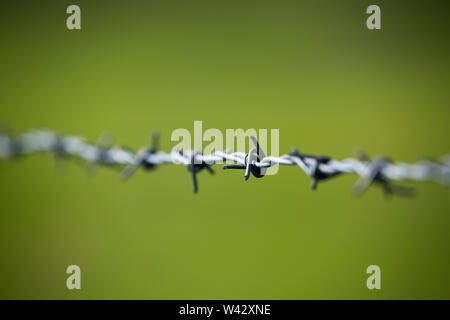 A line of barbed wire Stock Photo