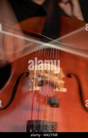 A young cellist practices intensely in this close up high resolution photo of strings, cello, and bow Stock Photo