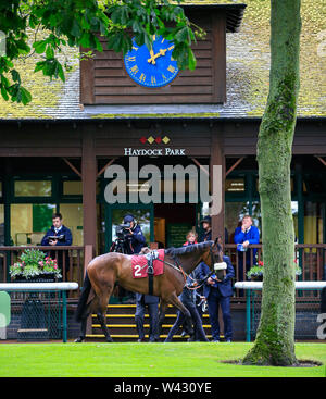 Haydock Race Course, Merseyside, UK. 19th July, 2019. Haydock Park horse race meeting; Horses enter the parade ring at Haydock Park for the first race Credit: Action Plus Sports/Alamy Live News