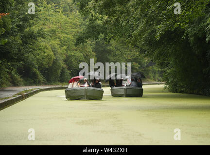 People taking boat trips along the algae-covered Regent's Canal in London. Stock Photo