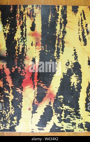 1970s abstract color photography by Algirdas Grigaitis of trees in the woods Stock Photo