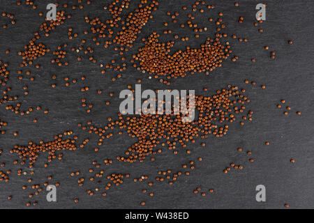 Lot of whole raw red quinoa seeds flatlay on grey stone Stock Photo