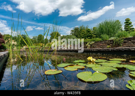 formal rectangular walled garden pond with water lilies and lily pads Stock Photo