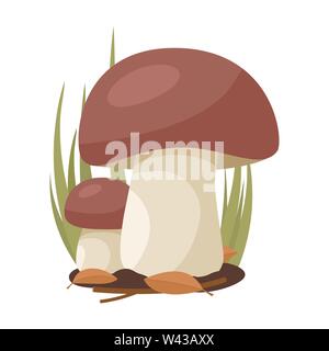 Two white mushrooms grow on a background of grass Stock Vector