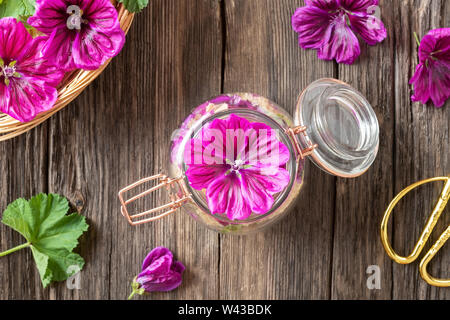 Preparation Of Homemade Mallow Syrup Against Cough From Malva Neglecta Plant And Sugar Stock Photo Alamy