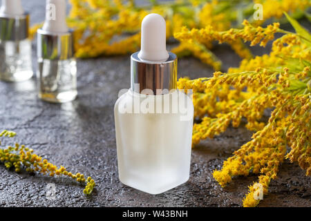 A bottle of Canadian goldenrod essential oil with blooming Solidago canadensis twigs Stock Photo