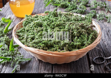 Nettle seeds collected in a basket on a table Stock Photo