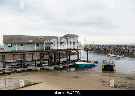 Ventnor Haven Fishery seafood restaurant and wholesaler, situated in a tiny harbour on seafront in Ventnor, Isle of Wight, England, UK Stock Photo