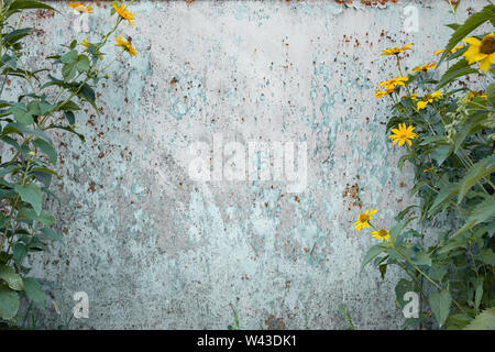 Distressed grunge background with wild flowers on the sides. Old metal with rusty texture, copy space for inserting text. Stock Photo