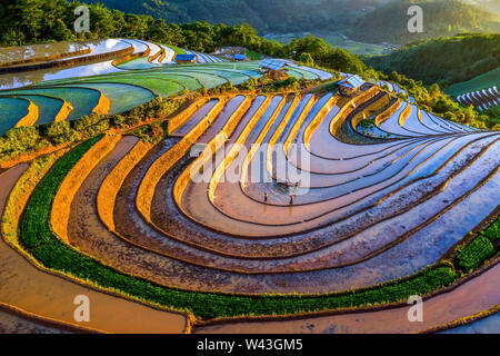 Rice and Water on terraces Mu Cang Chai, Yen Bai, Vietnam same world heritage Ifugao rice terraces in Batad, northern Luzon, Philippines. Aerial view Stock Photo