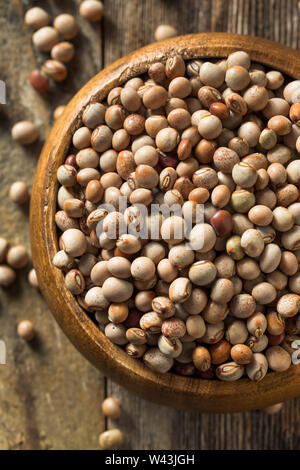 Organic Dry Toor Whole Pigeon Peas in a Bowl