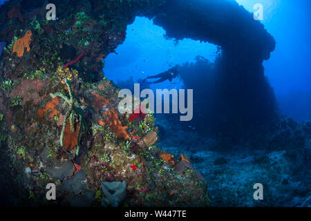 A scuba diver explores a submerged natural arch formed on a beautiful coral reef off the coast of Grand Cayman in the Caribbean Sea. Stock Photo