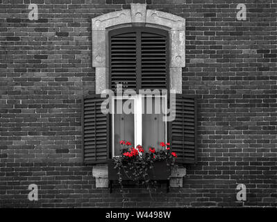 window and colorful flowers Stock Photo
