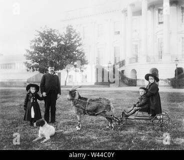 Major Russell Harrison, son of U.S. President Benjamin Harrison, with his daughter Marthena and nephew and niece (Benjamin 'Baby' and Mary McKee) on a cart pulled by the presidential pet goat 'Whiskers' at the White House, Washington DC, USA, Photograph by Francis Benjamin Johnston between 1889 and 1893 Stock Photo