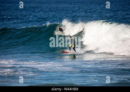 Australian surfers at Avalon beach in Sydney surfing the waves Stock Photo