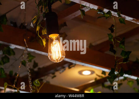 A low angled close up view of a modern light bulb hanging from wood rafters exposed inside a restaurant, hedera plants are seen in background with room for copy Stock Photo
