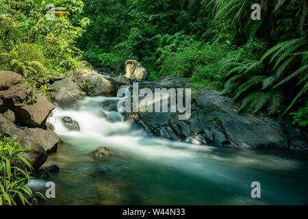 River rapids deep in the thick lush jungle in Bali Indonesia Stock Photo