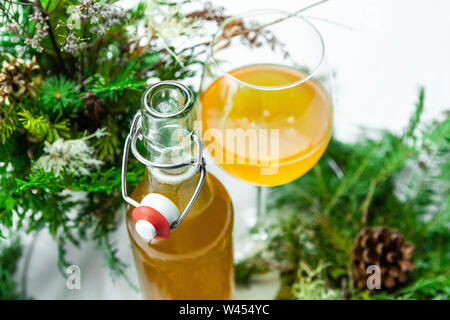 A high angle view of Kombucha served in a bottle and stemmed glass. A traditional fermented green tea made with mushrooms, believed to have health benefits. Stock Photo