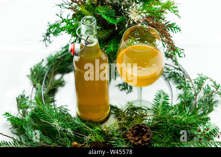 A high angled view of Kombucha and natural foliage. A fermented green tea made with fungus. An East Asian beverage with detoxifying benefits. Stock Photo