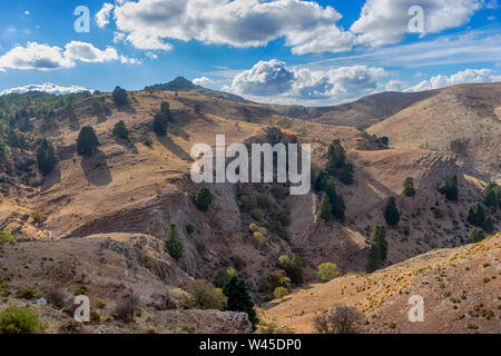 The sierra de las Nieves natural park in the province of Malaga, Andalucia Stock Photo