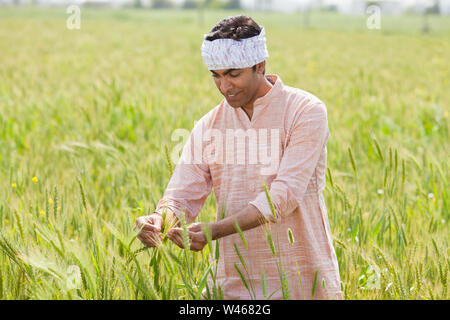 Farmer working in a field Stock Photo