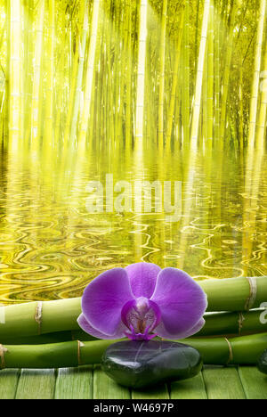 wellness center concept. In the foreground some black stones, bamboo stalks and a purple orchid.the green fauna in the background is reflected in calm Stock Photo