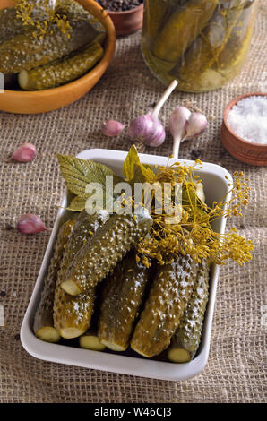 Homemade pickled cucumbers in white bowl Stock Photo