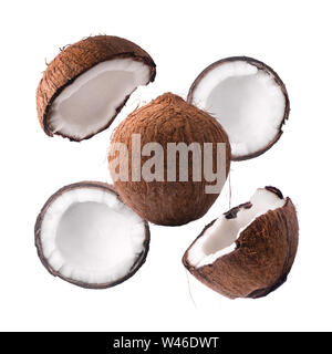 composition with coconuts isolated on white background Stock Photo