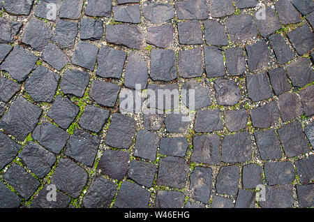 Stone pavement texture. Granite cobblestoned background. Abstract of old cobblestone close-up. Seamless . Prague Stock Photo
