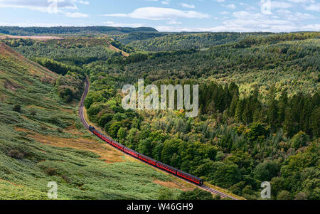 Vintage steam train cuts through woodland in the North York Moors national park between Goathland, and Pickering in autumn, Goathland, Yorkshire, UK. Stock Photo